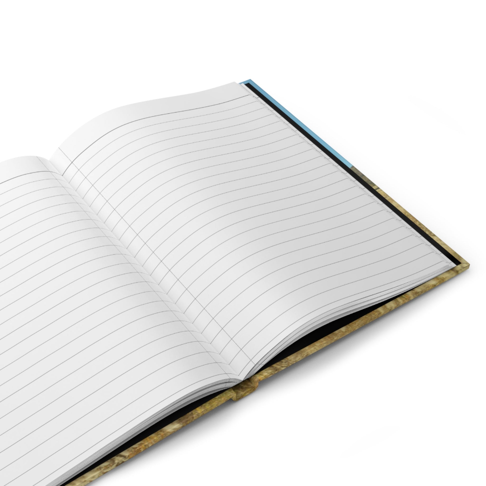Offline Era Journal - Inkwell Cats